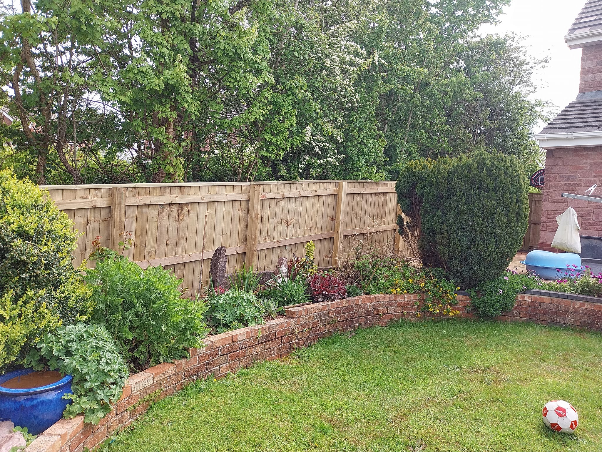 A backyard with a wooden fence, lush green plants, and a manicured lawn. A red and white soccer ball lies on the grass. Brick borders surround the garden beds, and a blue pot is visible on the left. Trees stand behind the fence.