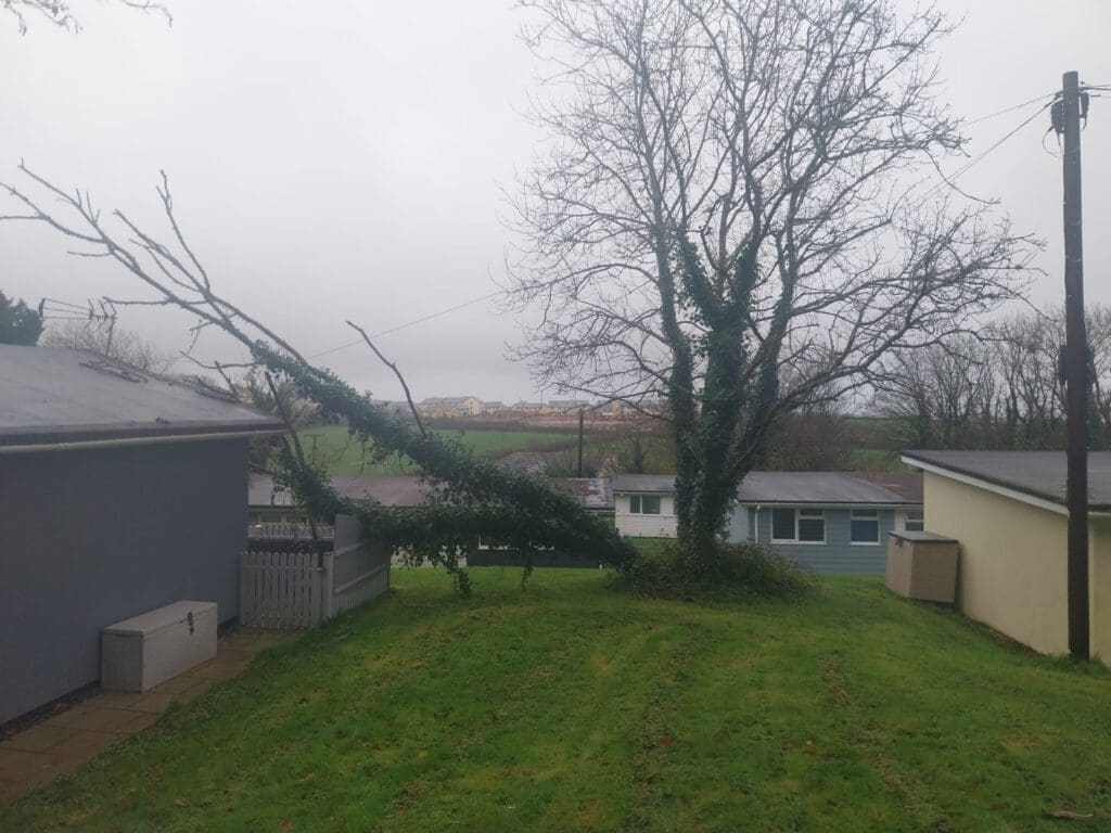 A leafless tree, leaning heavily against the roof of a single-story building, is partially uprooted. Overcast sky and green grass in the foreground with additional buildings and fields in the background.