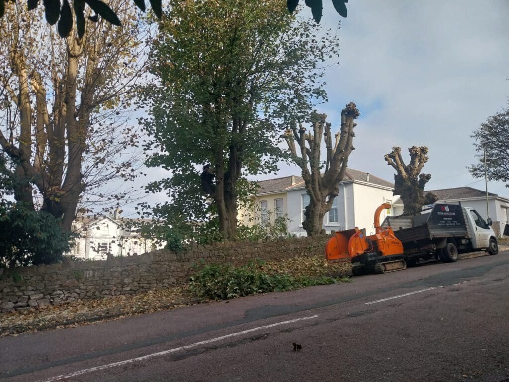 A roadside scene showing pruned trees with a pile of branches on the ground. An orange wood chipper and a black truck are parked nearby. A stone wall and houses are visible in the background under a cloudy sky.