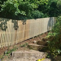 A wooden fence runs along a garden path bordered by lush greenery. Wooden steps lead uphill, surrounded by plants and trees. Sunlight filters through the foliage, casting dappled shadows on the ground and fence.