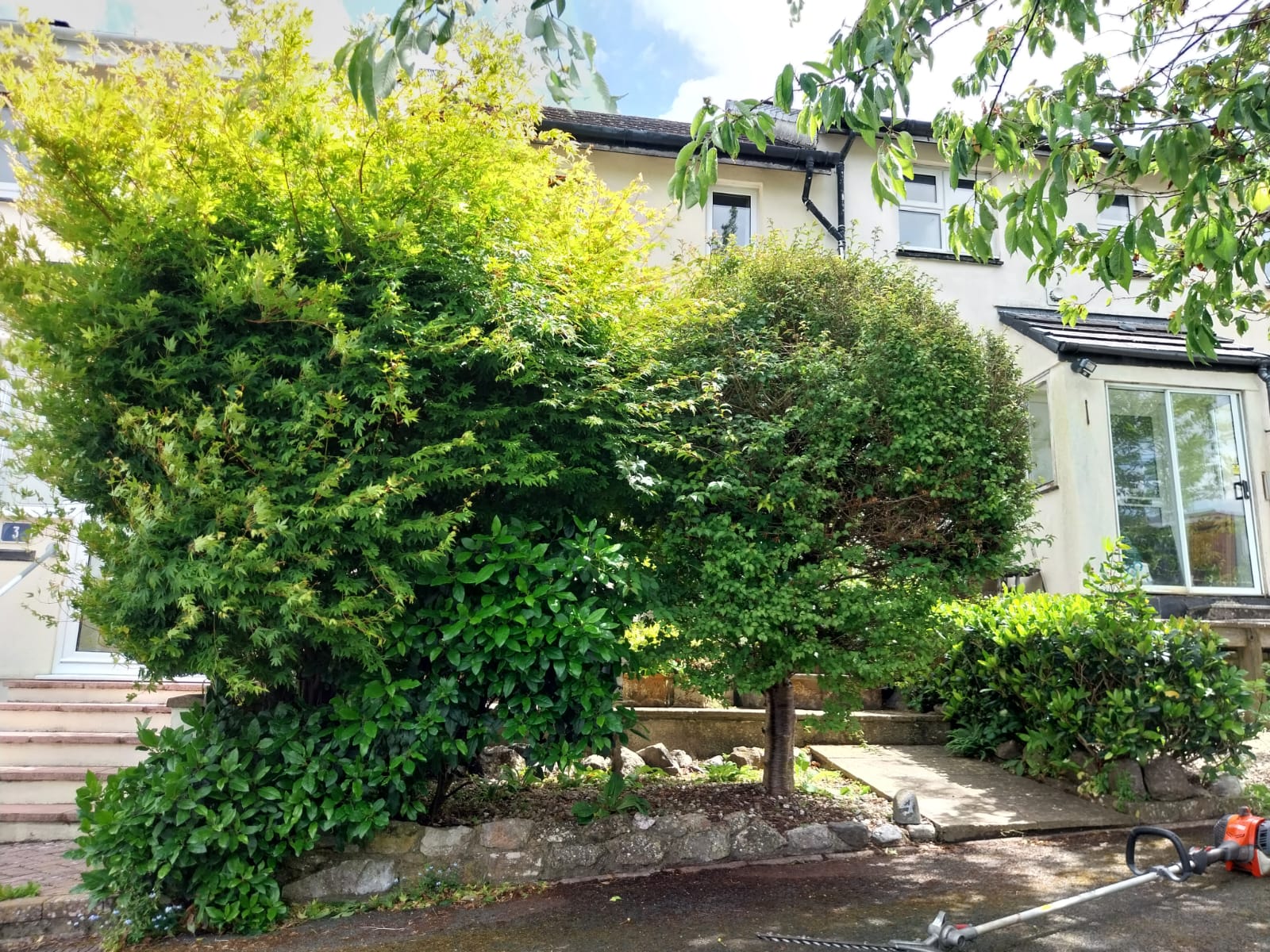 A house with a white façade, partially obscured by lush, green bushes and trees. The sidewalk leading to the entrance is lined with shrubs and small plants. A section of a garden tool is visible in the foreground on the pavement.