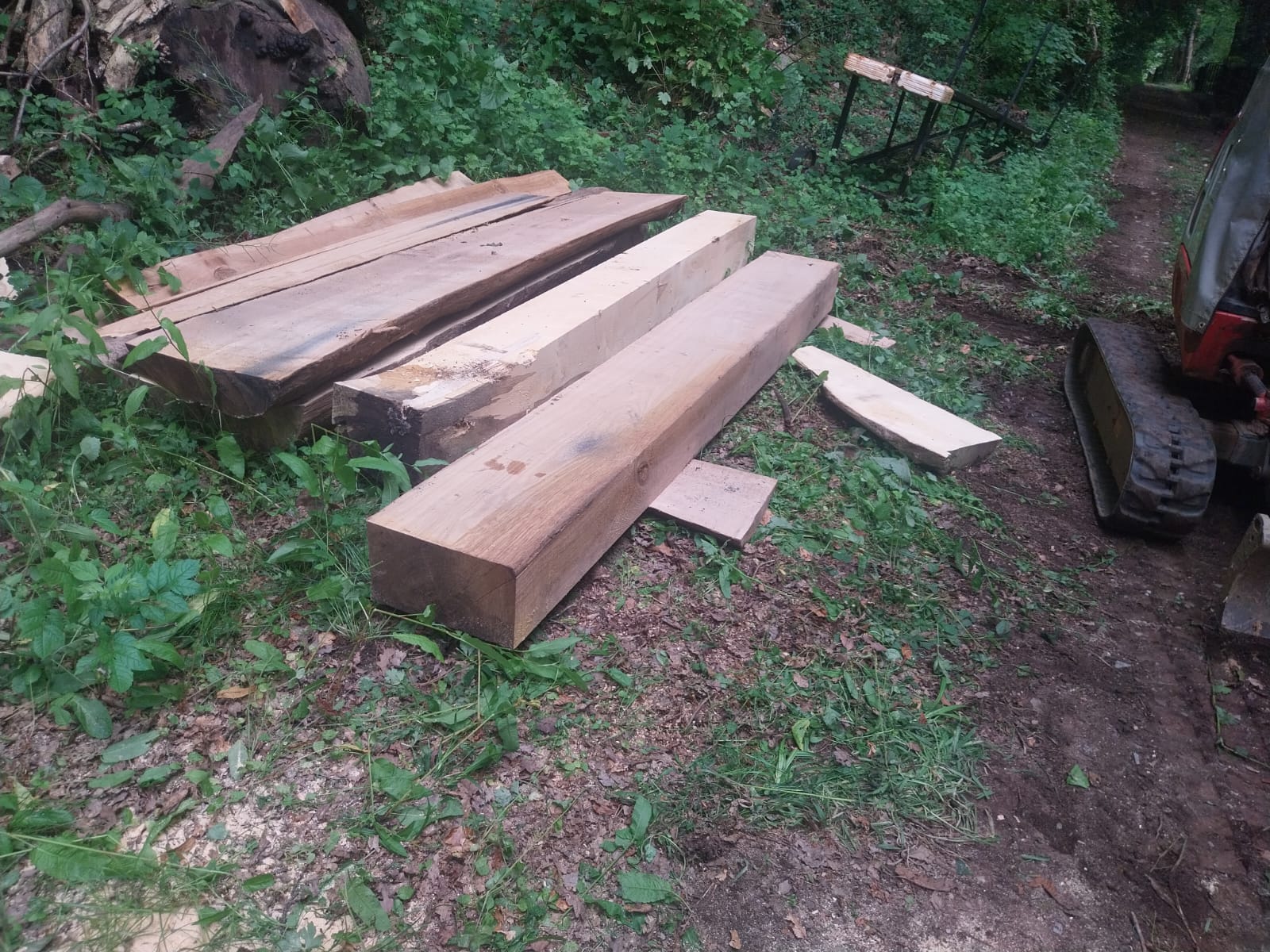 Several large wooden beams are stacked on the ground in a forested area. Surrounding the beams are green plants and trees. Part of a heavy-duty vehicle is visible to the right. The setting appears to be a clearing or path.