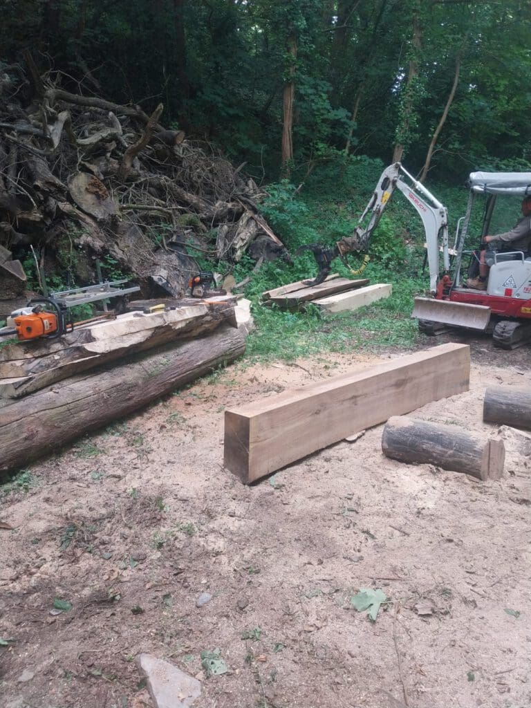 A small excavator and chainsaws are near wooden beams in a forest clearing. Logs and branches are piled to one side, and sawdust covers the ground, indicating ongoing woodcutting or logging activity.