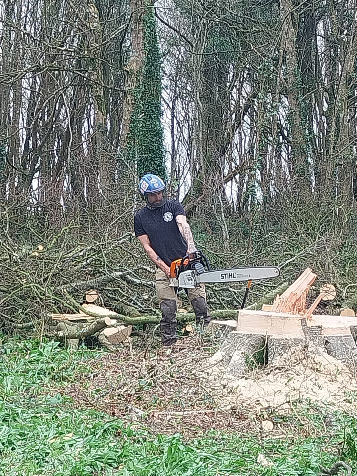 A person wearing a helmet and gloves is using a chainsaw to cut a tree stump in a forested area. Fallen branches and logs are visible around them, with dense trees in the background.
