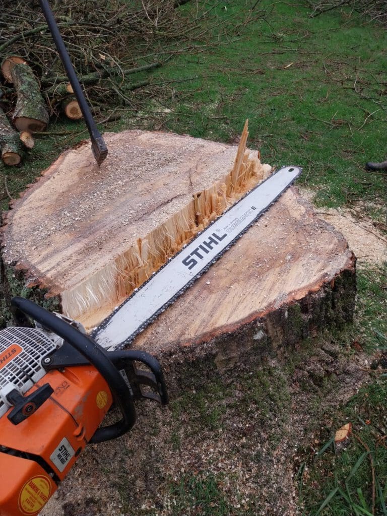 A large tree stump with rough, jagged cuts is in a grassy area. An orange chainsaw, displaying the brand "Stihl," rests on top of the stump, with sawdust scattered nearby. A metal tool is embedded in the stump.