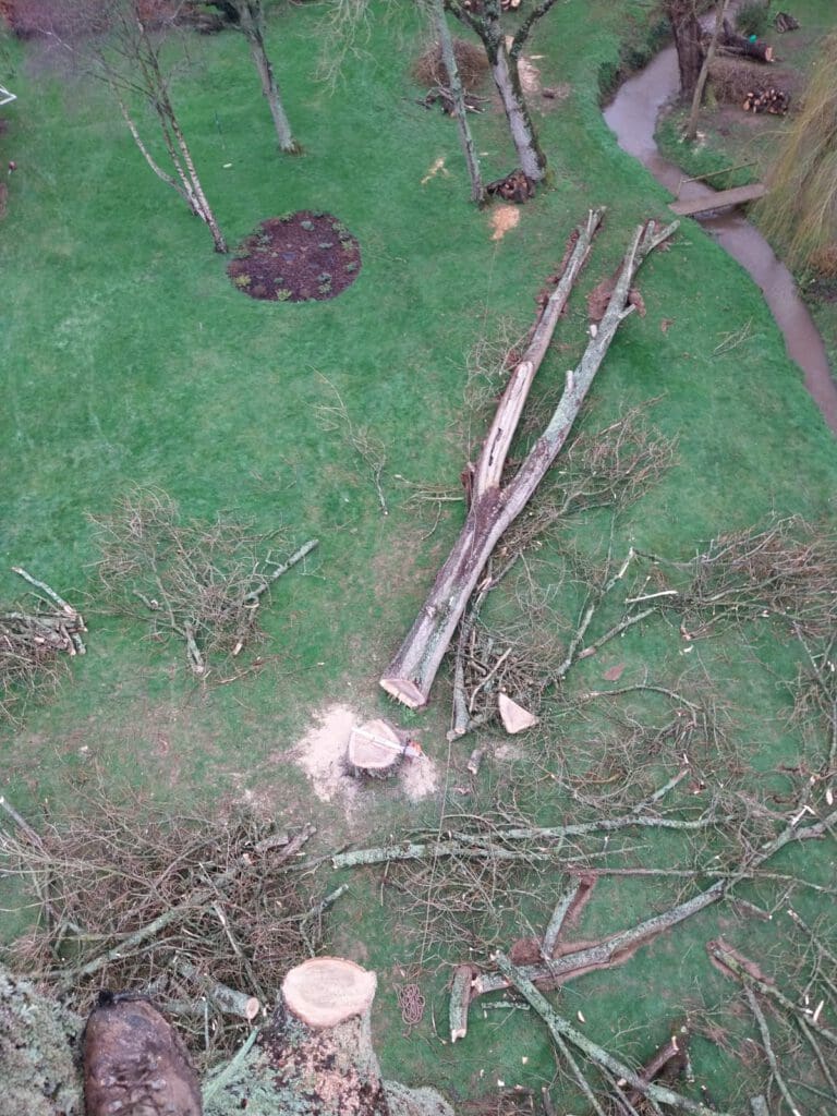 View from above showing a felled tree and scattered branches on green grass near a small stream. Tree stumps and cut sections are visible, with a circular patch of soil in the background. A person's boot partially seen at the bottom left.