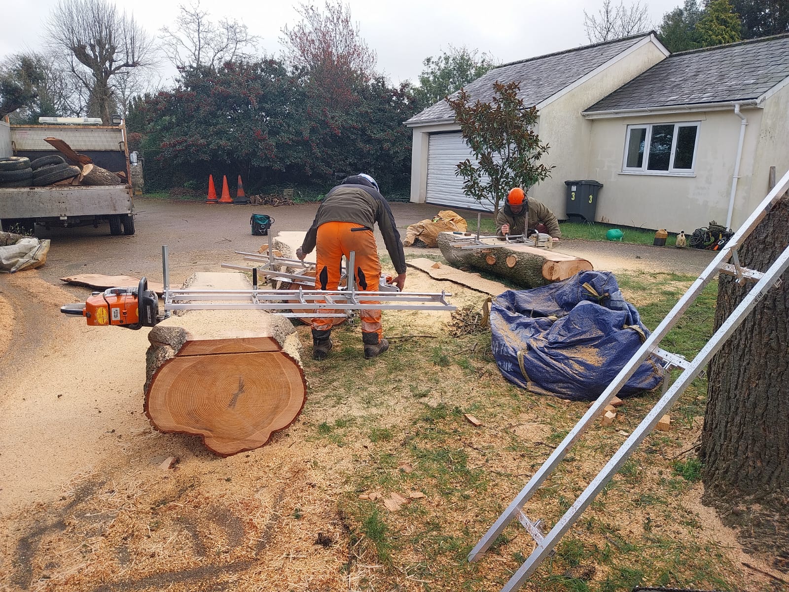 Two workers in protective gear are cutting large tree logs outside a house. The logs are on the ground near a chainsaw mill. There's a truck nearby and sawdust scattered around. A ladder and tarp are visible on the grass.