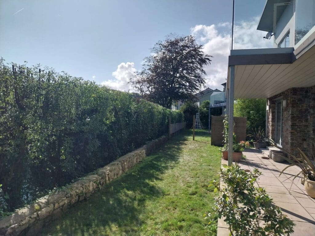 A sunny backyard with a grassy lawn, bordered by a stone wall and a tall hedge on the left. The yard leads to a modern house with a glass balcony and patio adorned with potted plants. A tree and neighboring houses are visible in the background.