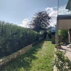A sunny backyard with a grassy lawn, bordered by a stone wall and a tall hedge on the left. The yard leads to a modern house with a glass balcony and patio adorned with potted plants. A tree and neighboring houses are visible in the background.