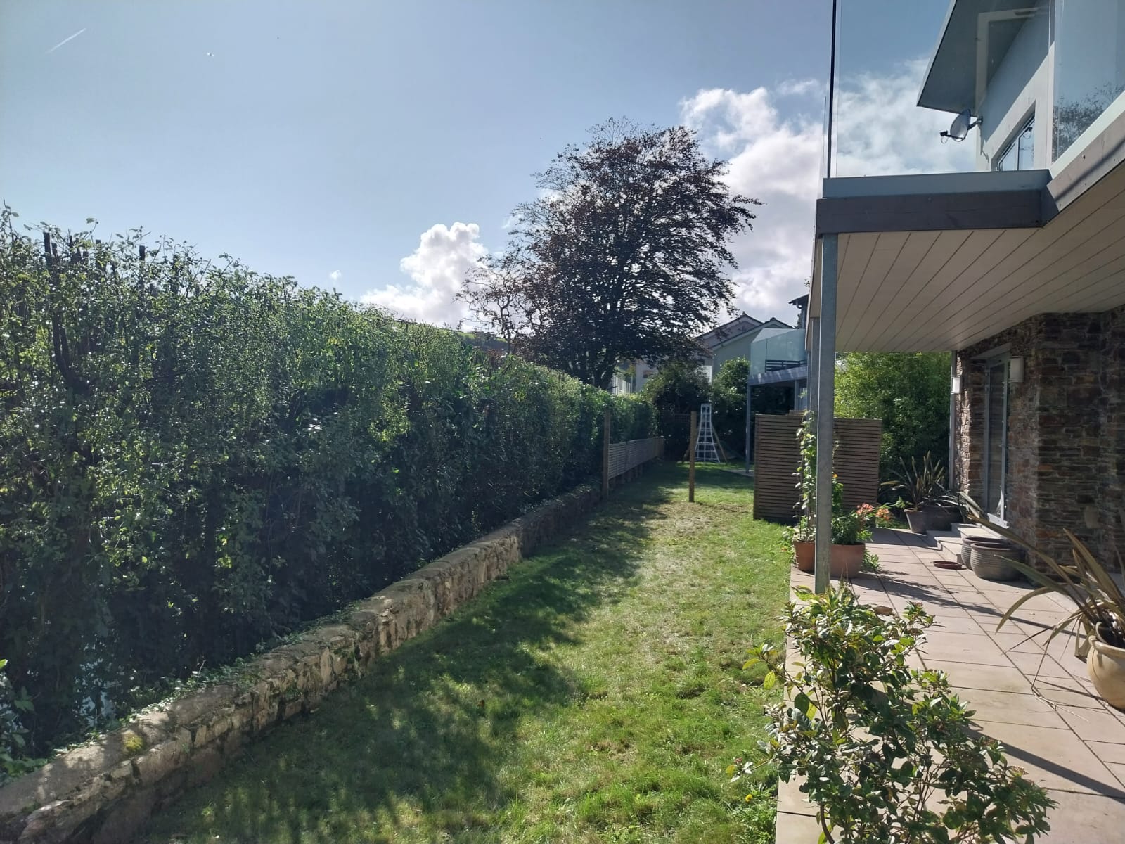 A sunny backyard with a grassy lawn, bordered by a stone wall and a tall hedge on the left. The yard leads to a modern house with a glass balcony and patio adorned with potted plants. A tree and neighboring houses are visible in the background.