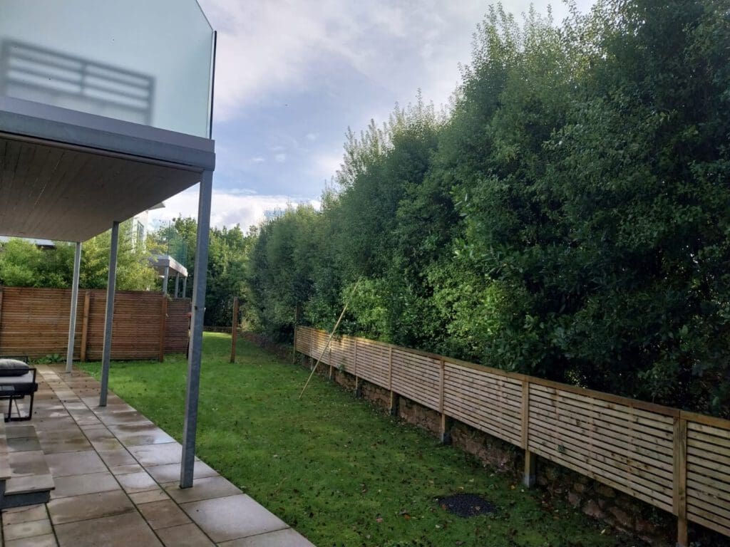 A backyard with a patio to the left and grass in the center. There's a wooden fence and a row of tall trees in the background. The sky is partly cloudy. A modern building's corner is visible on the left.