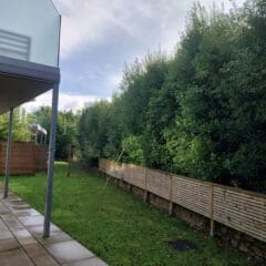 A backyard with a patio to the left and grass in the center. There's a wooden fence and a row of tall trees in the background. The sky is partly cloudy. A modern building's corner is visible on the left.