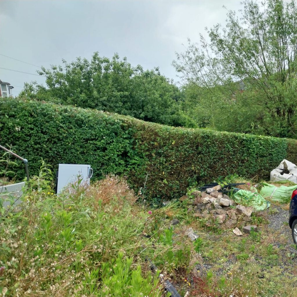 Overgrown garden with a blue car parked on the right. The area is cluttered with bags, rocks, and miscellaneous items. A tall hedge lines the back, with trees visible behind it.